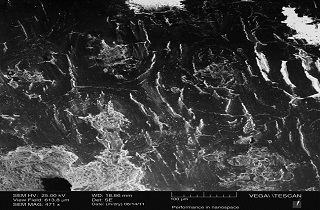 comparacion_superficies_big