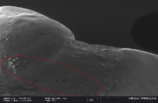 determinacion_continuidad