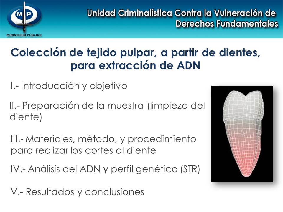 colección_de_tejido_2