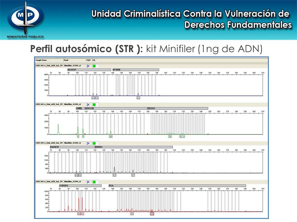 colección_de_tejido_20