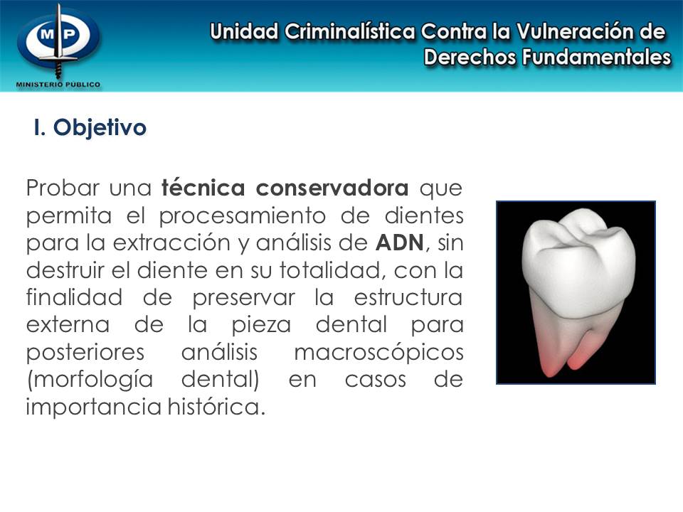 colección_de_tejido_4